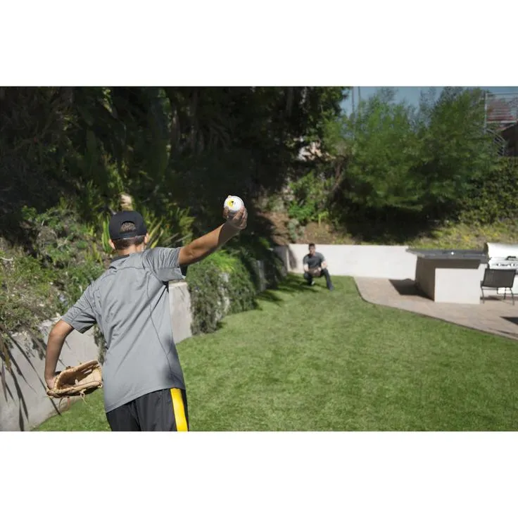 Bullet Ball