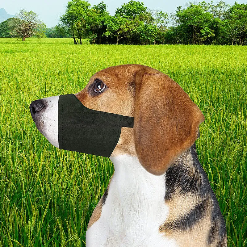 Four Paws Walk-About Quick-Fit Muzzle