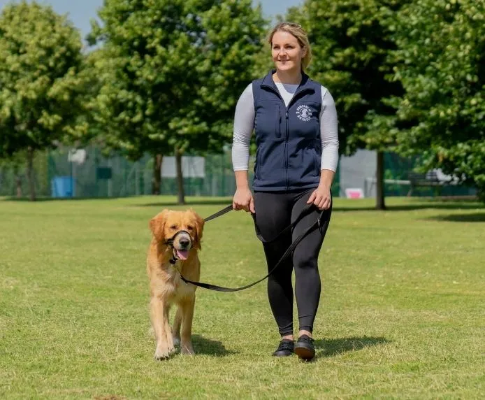 Halti OptiFit Head Collar