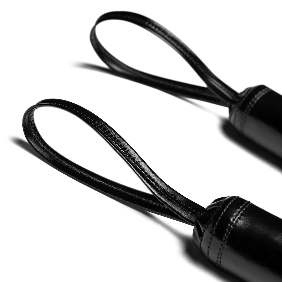 Hayabusa | Boxing Training Sticks