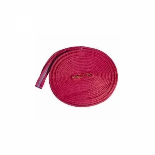 Kincade Two Tone Padded Lunging Rein