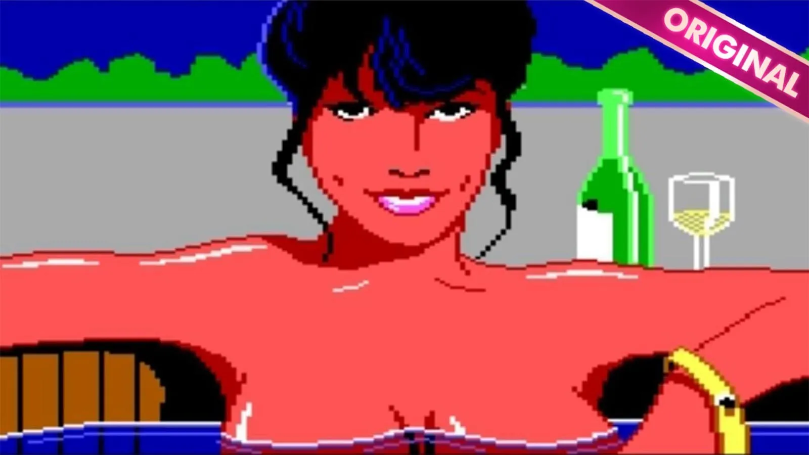 Leisure Suit Larry Bundle (PC)