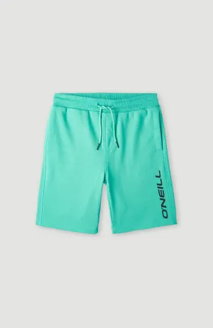 O'Neill Jogging-Shorts | Sea Green
