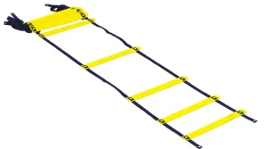 Smart Modular Acceleration Ladder