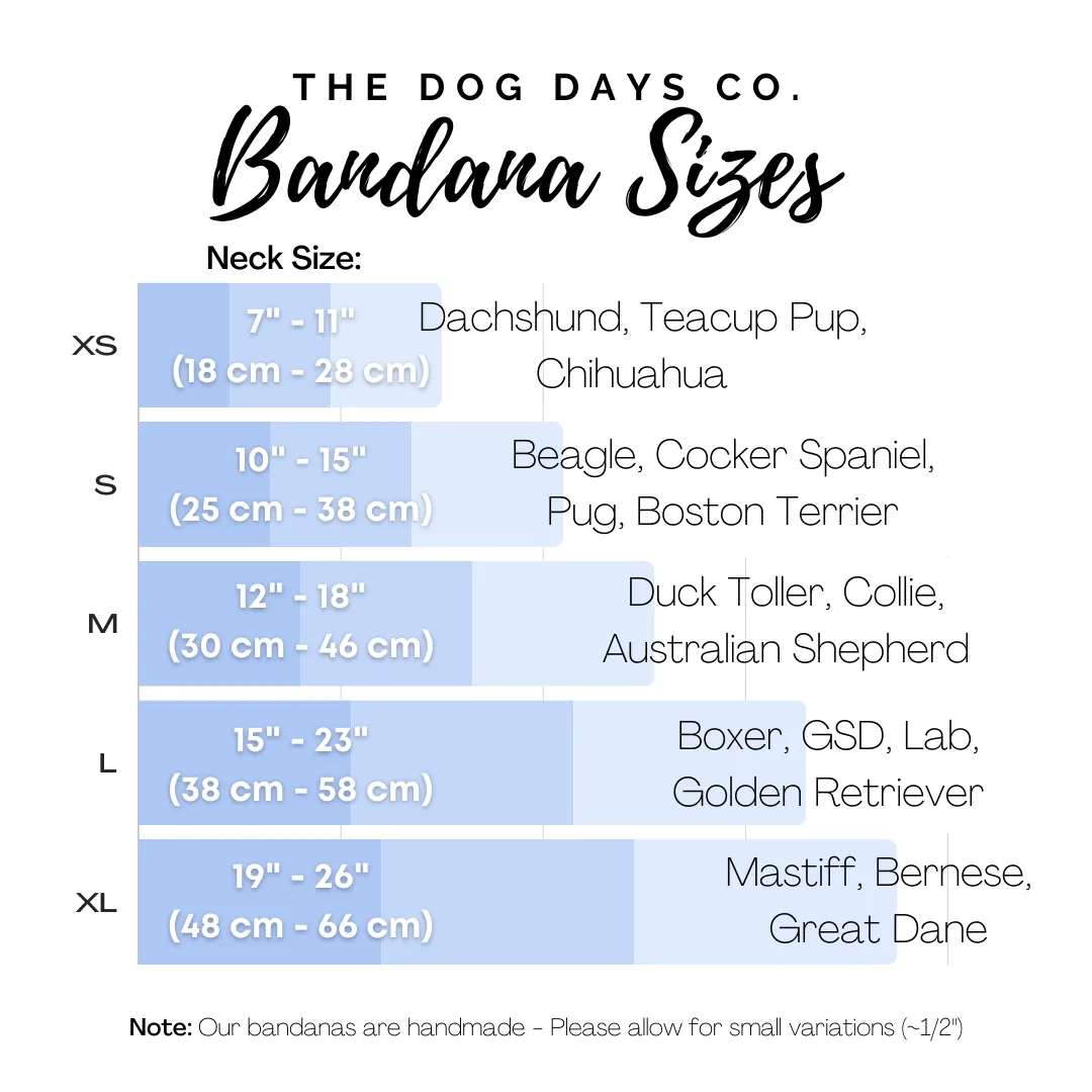 Stay Golden - Blush Bandana