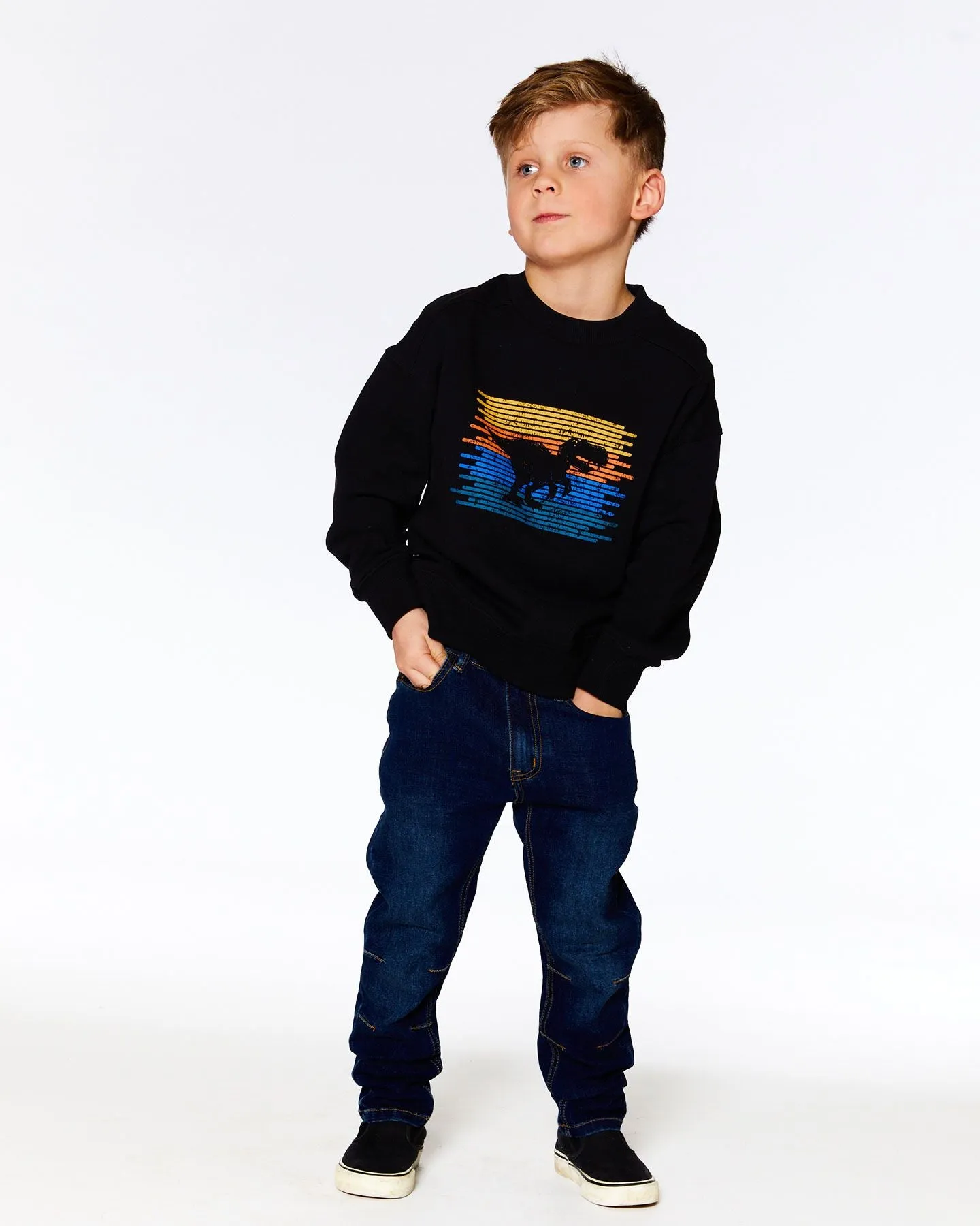 Sweat en molletion noir dino F20U33
