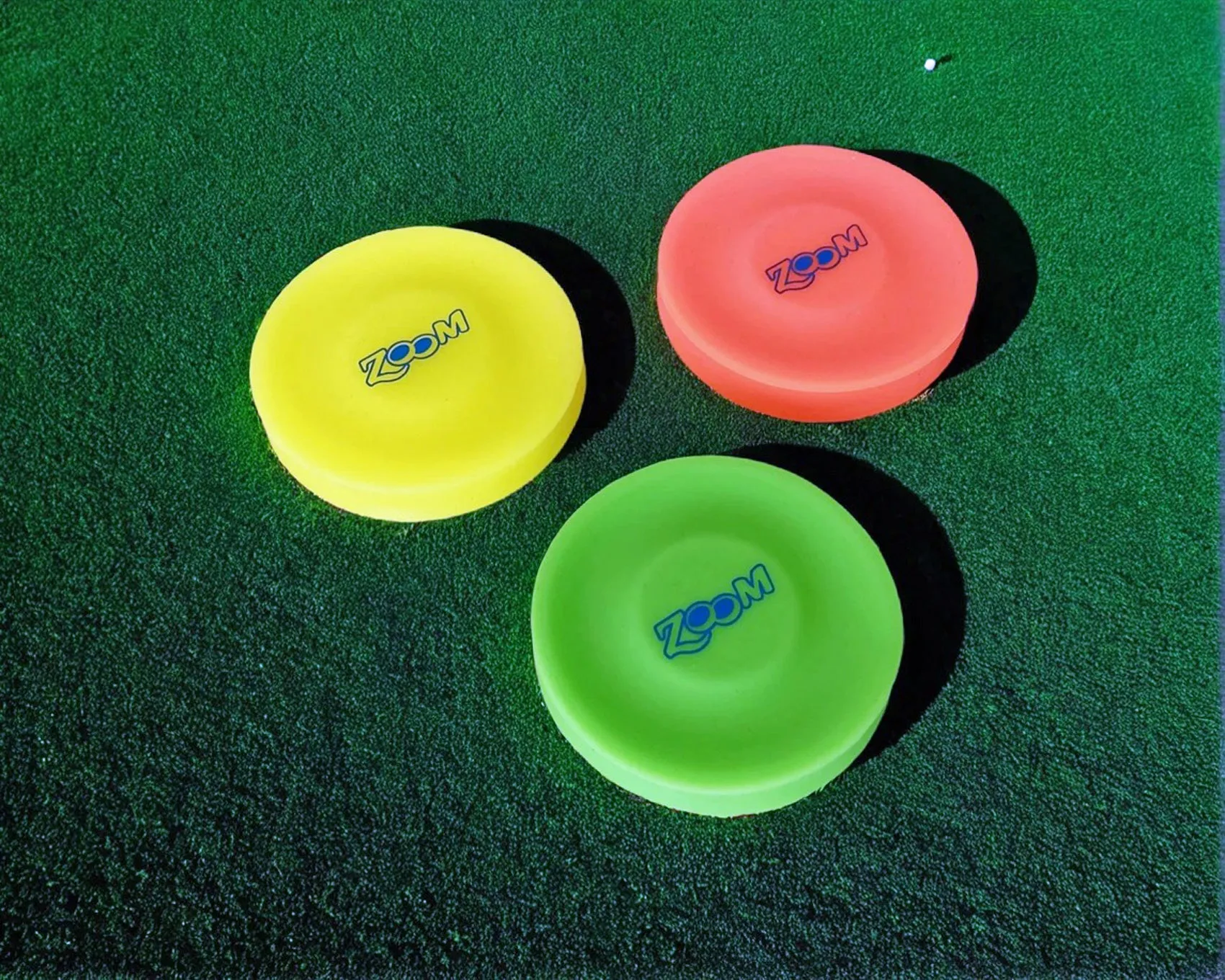 Zoom Mini Disc